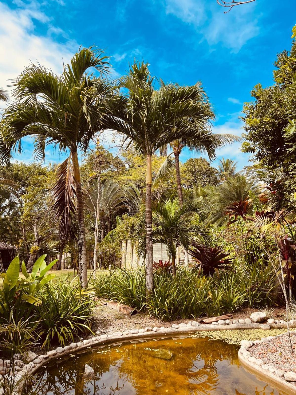 Pousada Jacaranda トランコーゾ エクステリア 写真